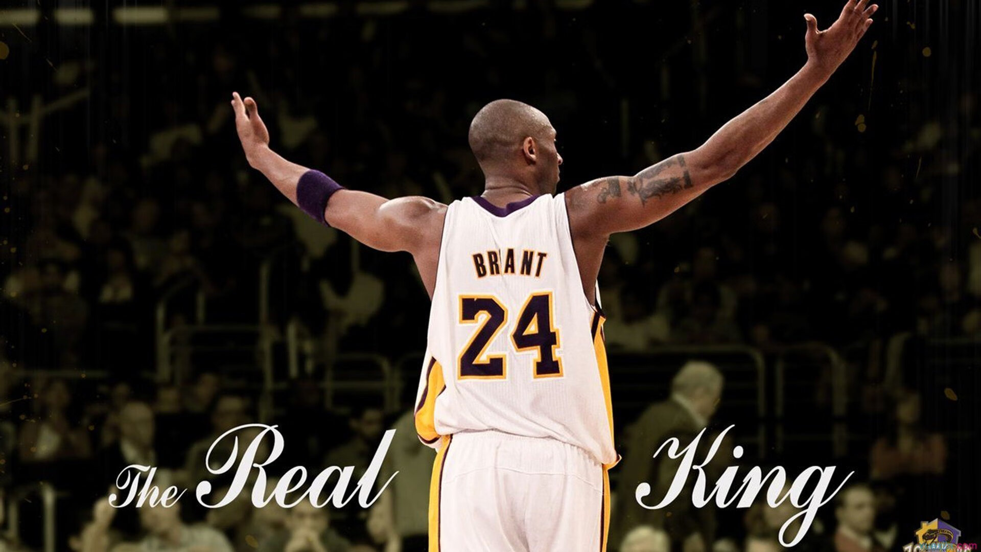 亚冠联赛中国青年队惨败 球迷理性看待失利,亚冠比赛怎么全是青年军